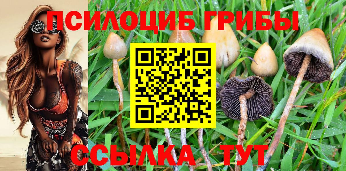 Псилоцибиновые грибы Psilocybine cubensis Нижнекамск
