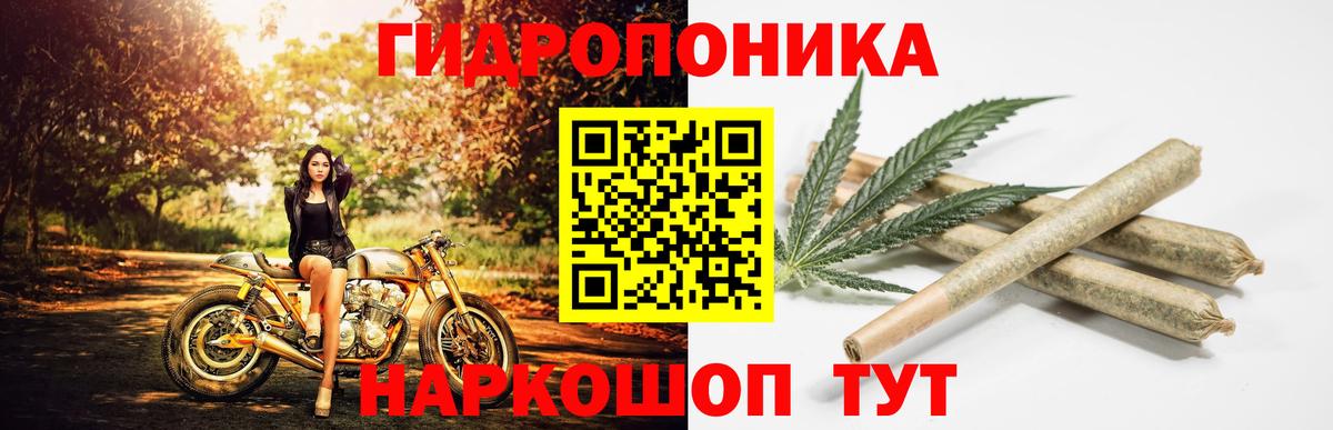Шишки марихуана Bruce Banner  Канабис план  Вход с VPN  Нижнекамск  Каннабис план 